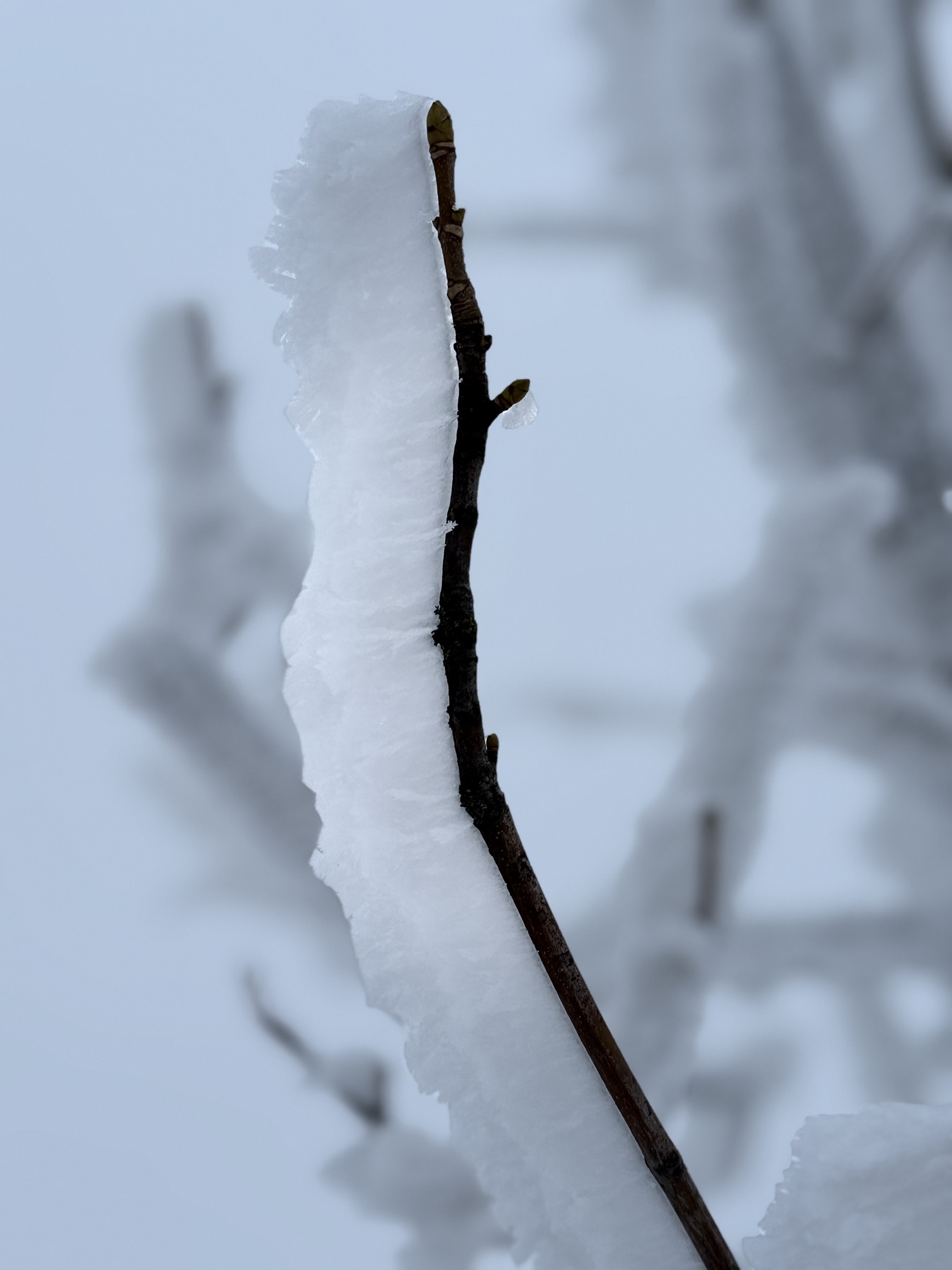 vítova rozhledna 09