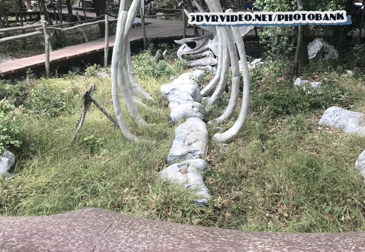 01 Croatia Dinosaur 0039