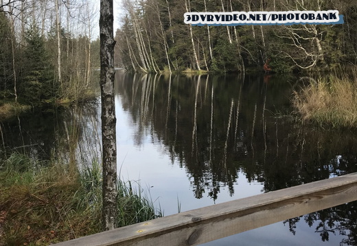 01 Czech Nature Reserve Kladska 0050