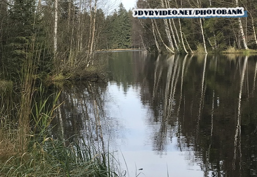 01 Czech Nature Reserve Kladska 0053