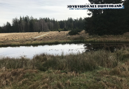 01 Czech Nature Reserve Kladska 0019