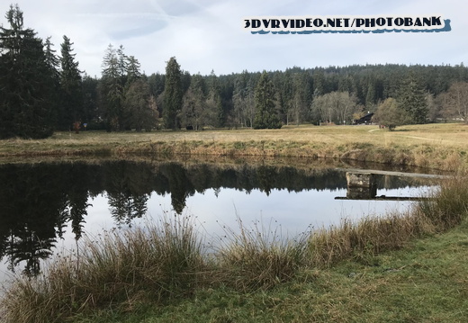 01 Czech Nature Reserve Kladska 0017