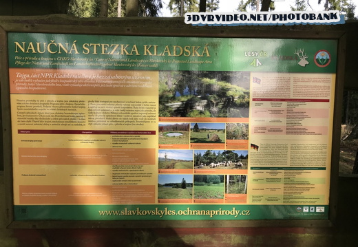 01 Czech Nature Reserve Kladska 0066