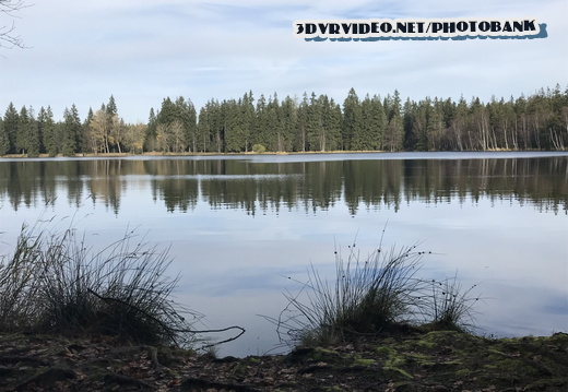 01 Czech Nature Reserve Kladska 0049