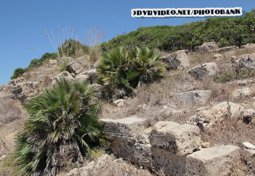 020 Italy Sicily Selinunte 0528