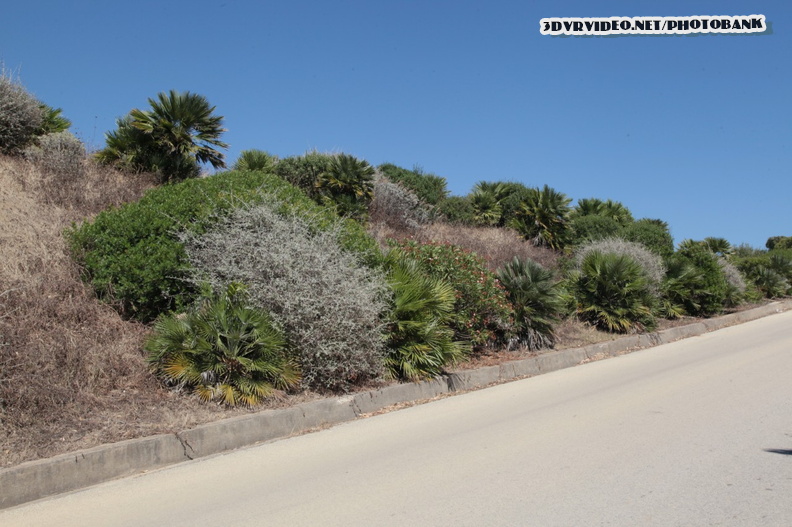 020 Italy Sicily Selinunte 0680