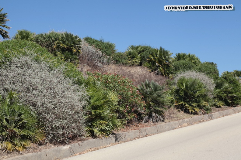 020 Italy Sicily Selinunte 0681