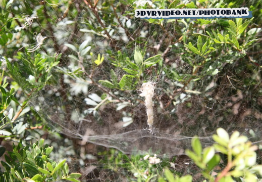 021 Italy Sicily Mozia 0574